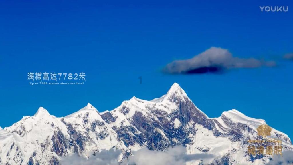沈阳市启动春风行动专项活动